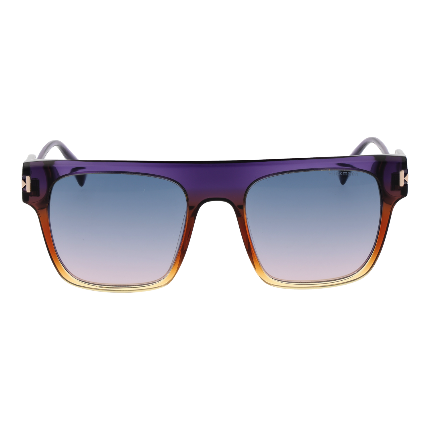 Γυαλιά Ηλίου Ana Hickmann Rectangle με Acetate σκελετό - Image 2